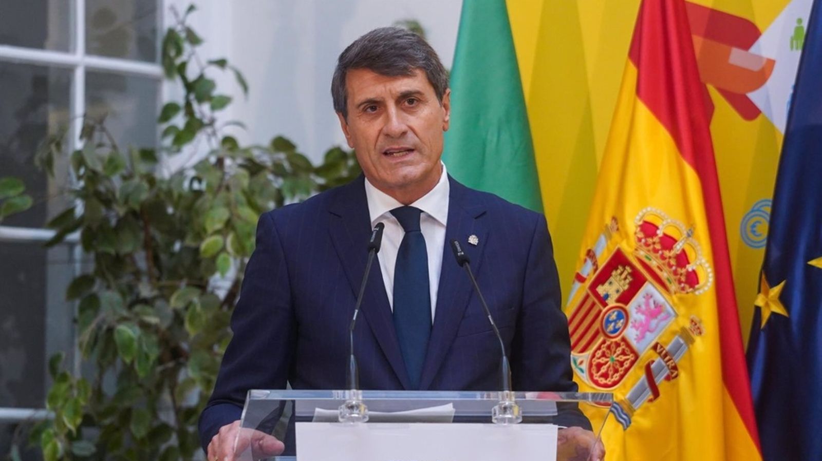 delegado del Gobierno en Andalucía Pedro Fernández