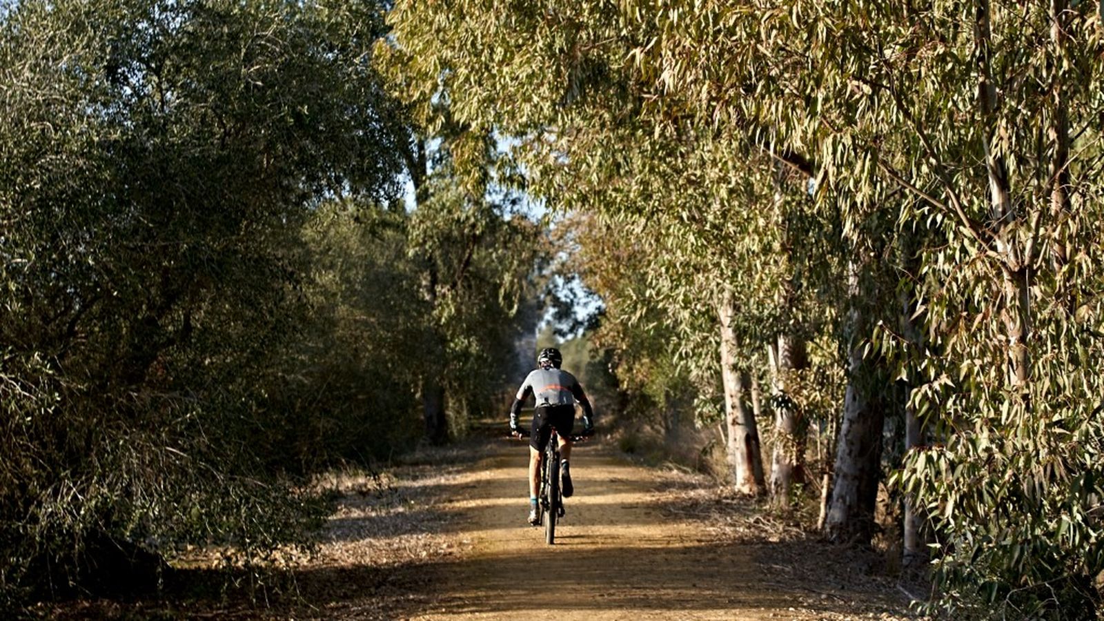 Vía Augusta Sevilla Cádiz