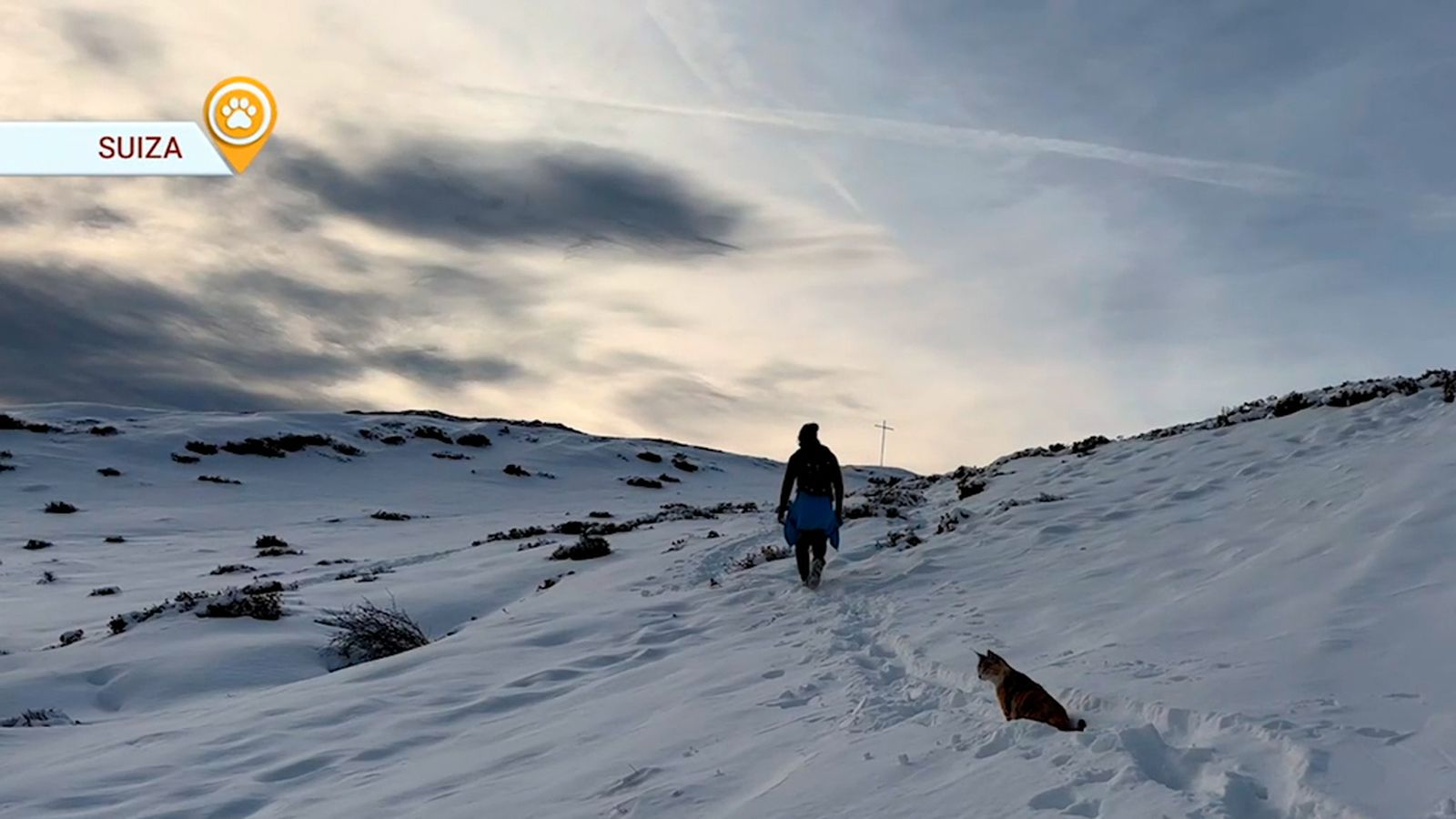Zarpas descubre la nieve en Suiza junto a su aventurero Fito