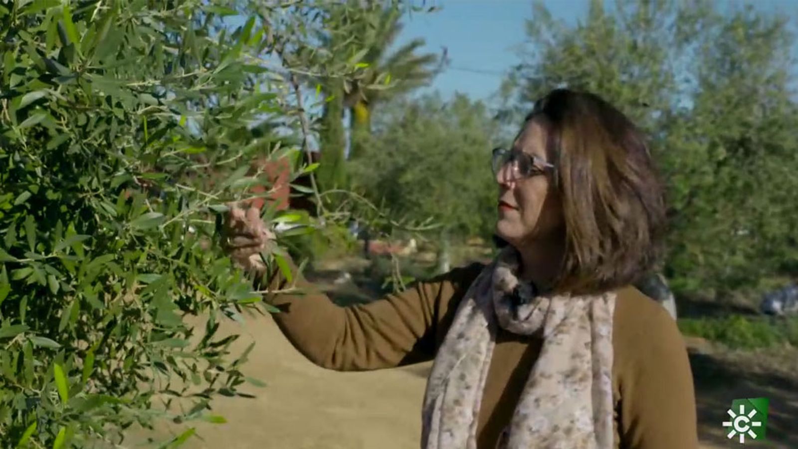 Juana, el amor por los olivos que le transmitió su marido