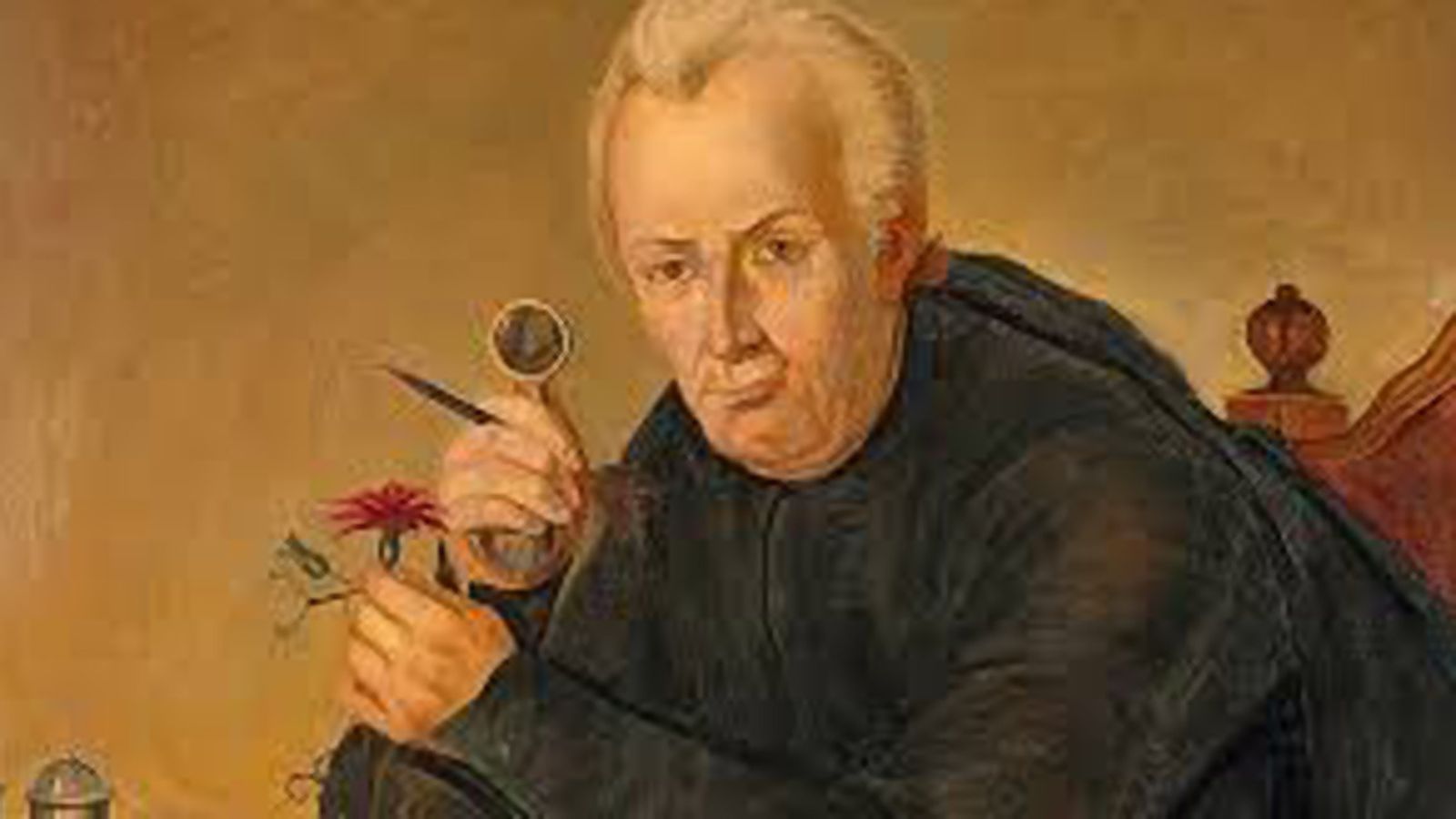 ENRIQUE JOSÉ CELESTINO