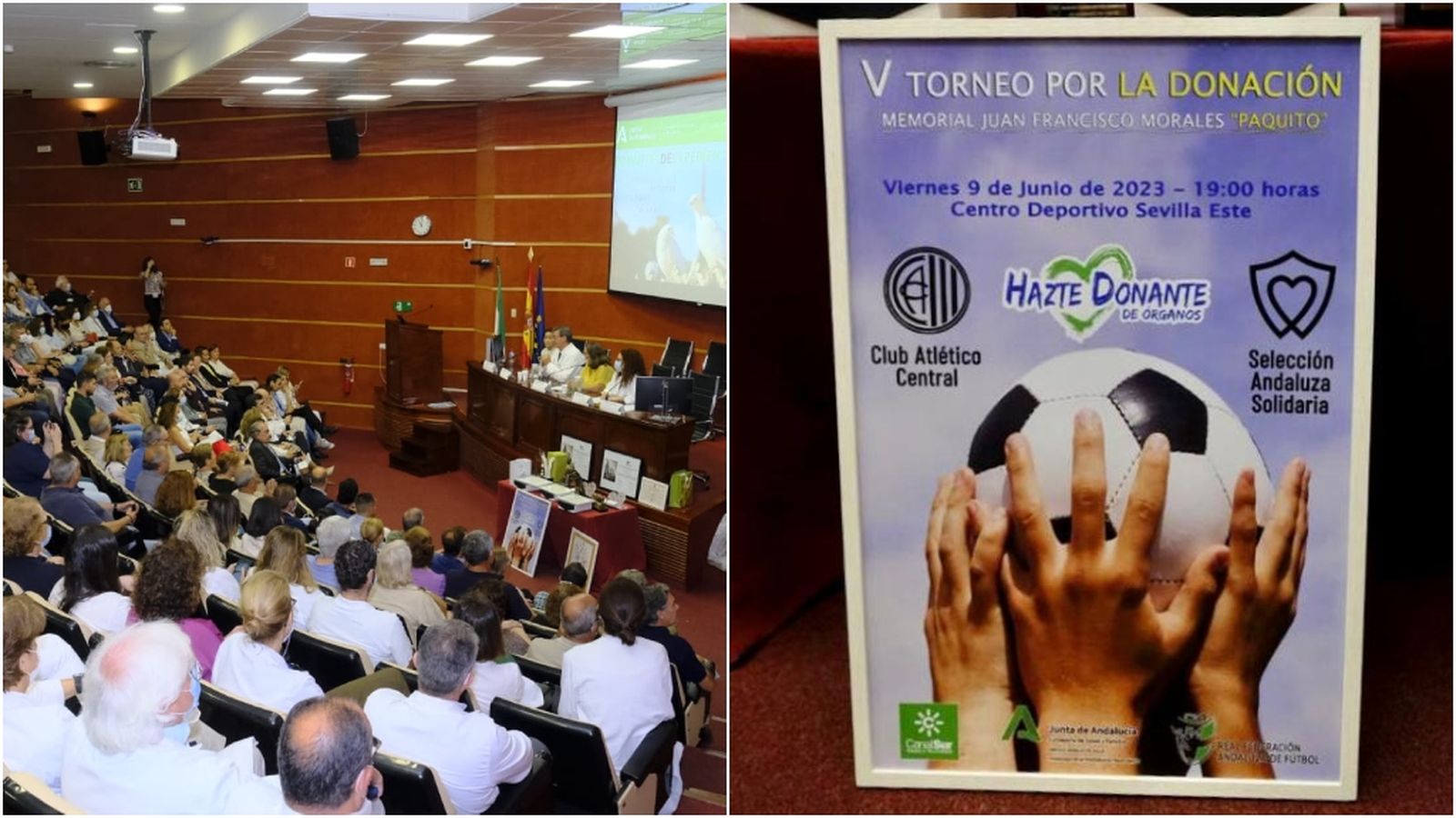 07_transplantes