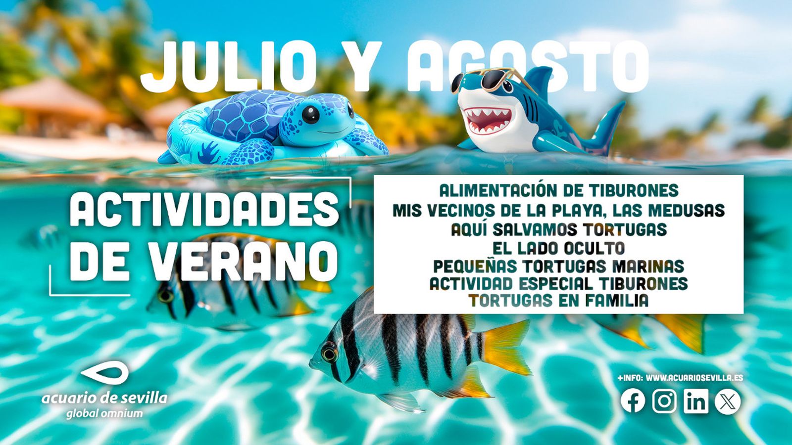 Actividades de verano en el Acuario de Sevilla