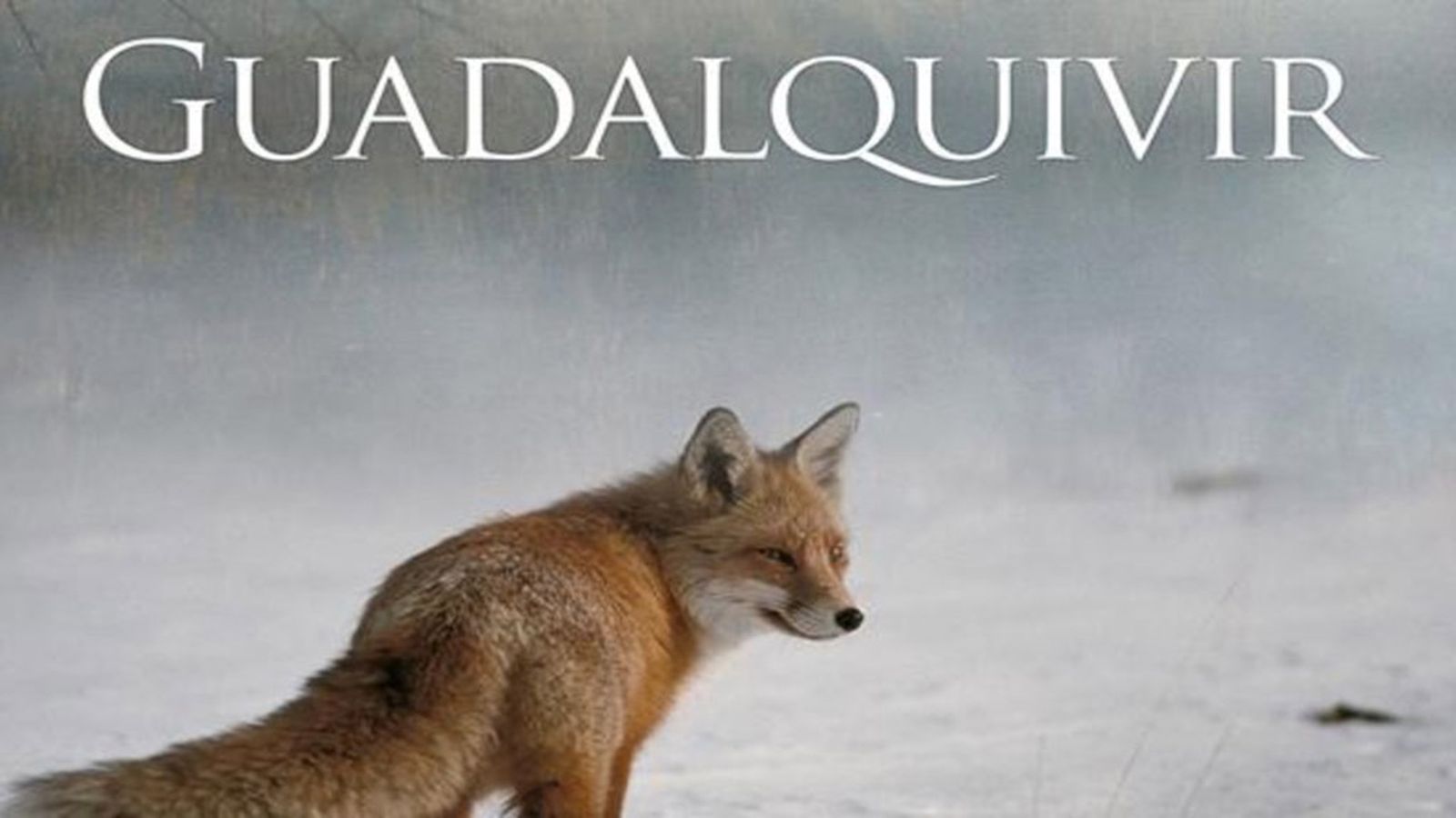 Documental Guadalquivir, 19 mayo