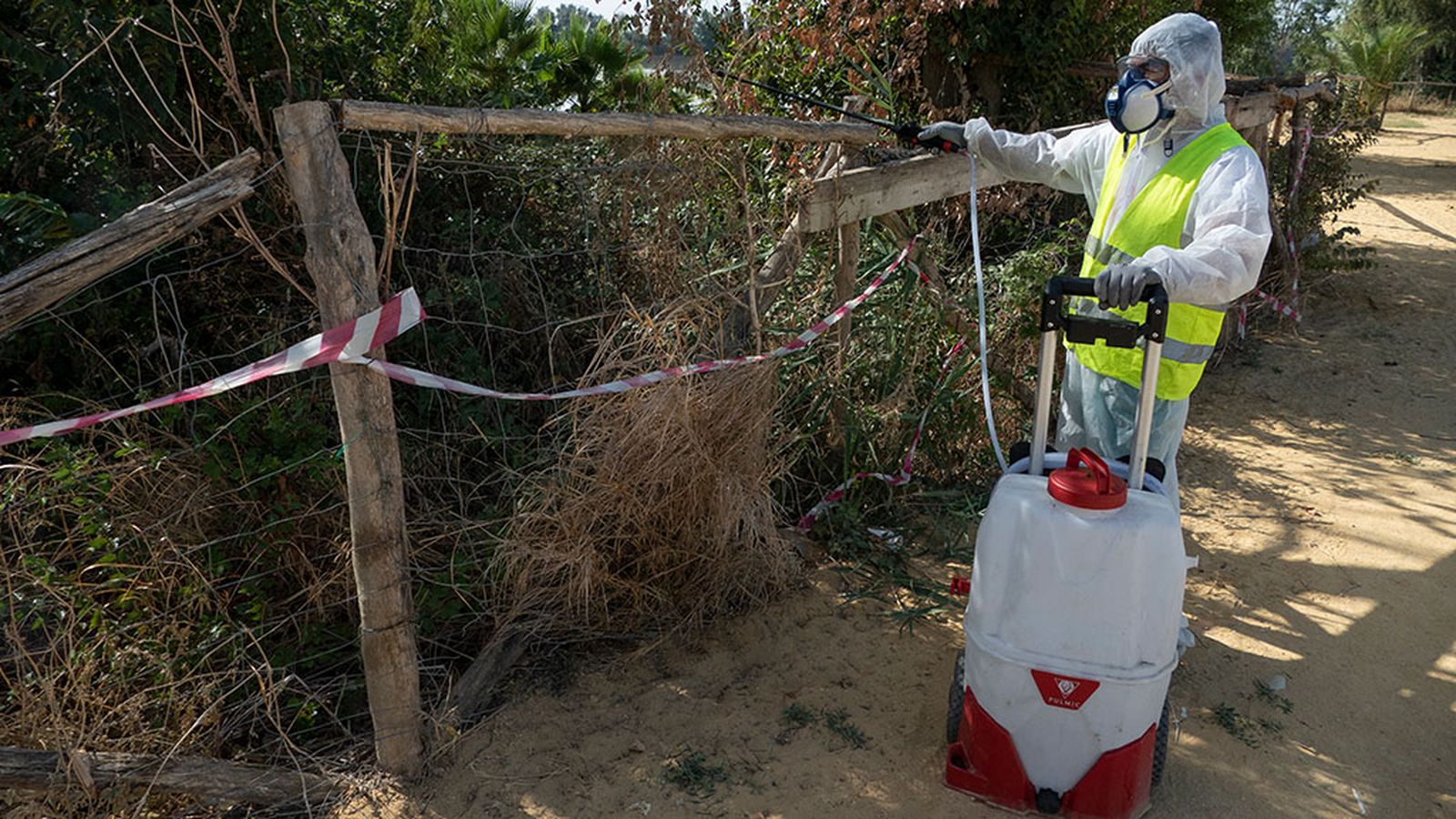 Fumigación contra el virus del Nilo en Puebla del Río
