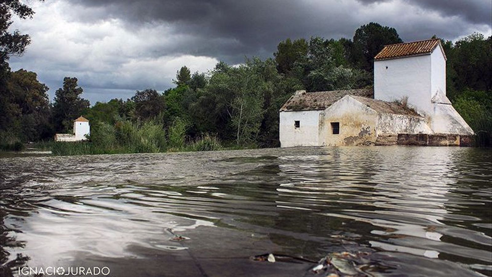 molinos