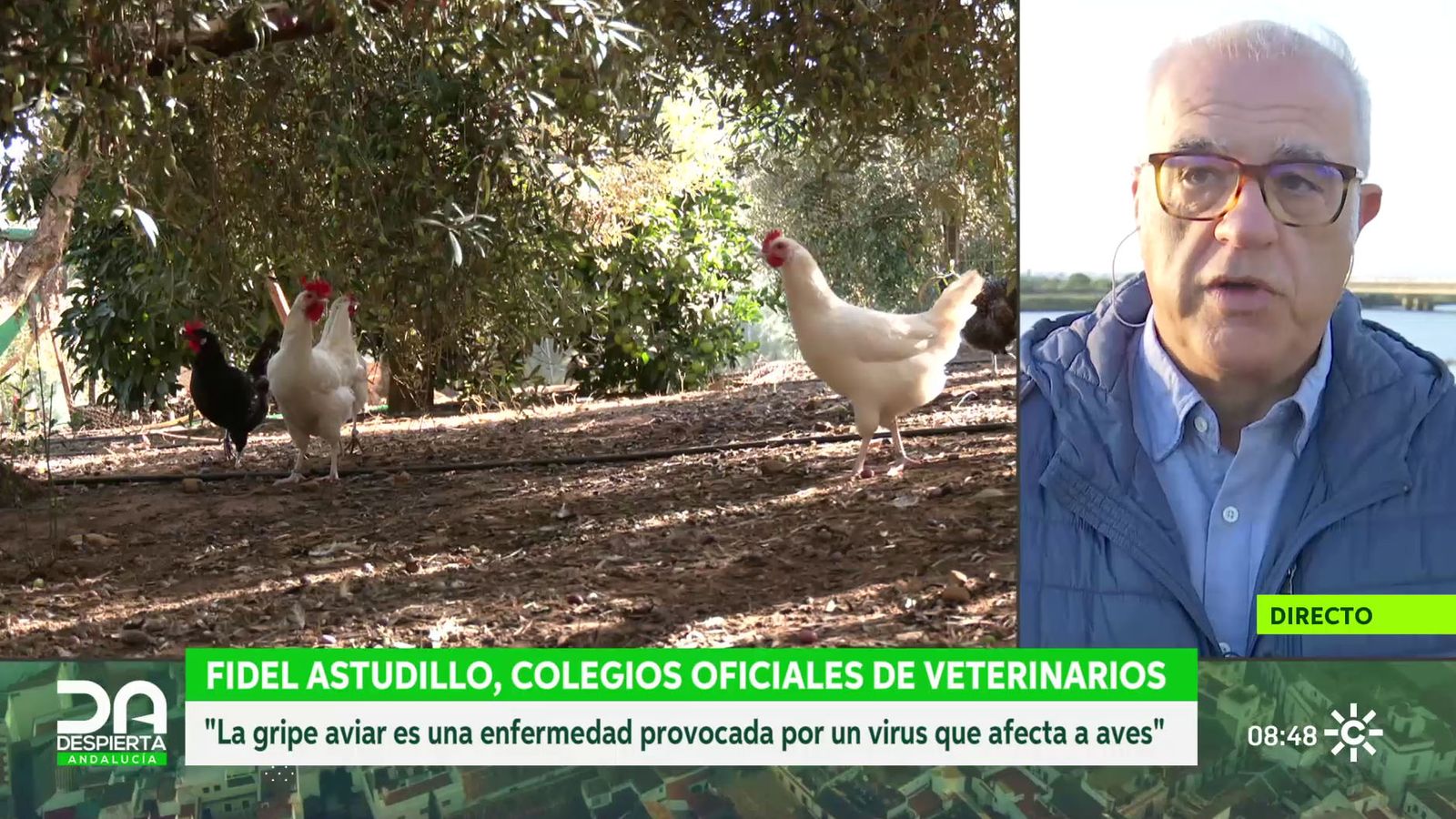 Fidel Astudillo, presidente del Consejo Andaluz de Colegios de Veterinarios