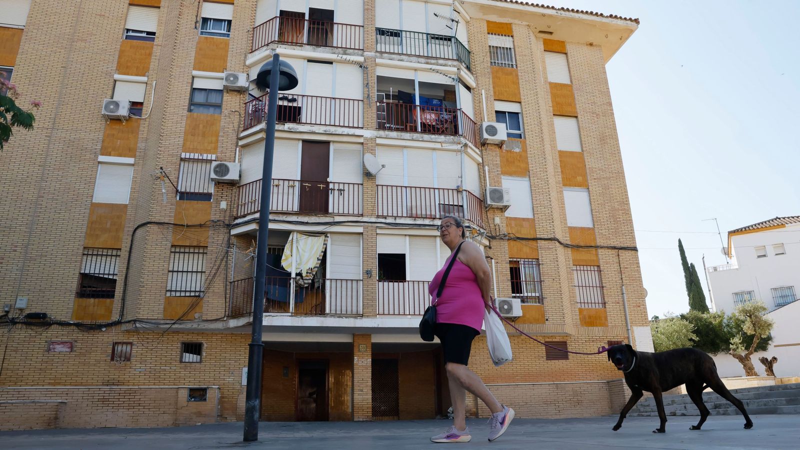 Asesinada una mujer en mairena del Aljarafe