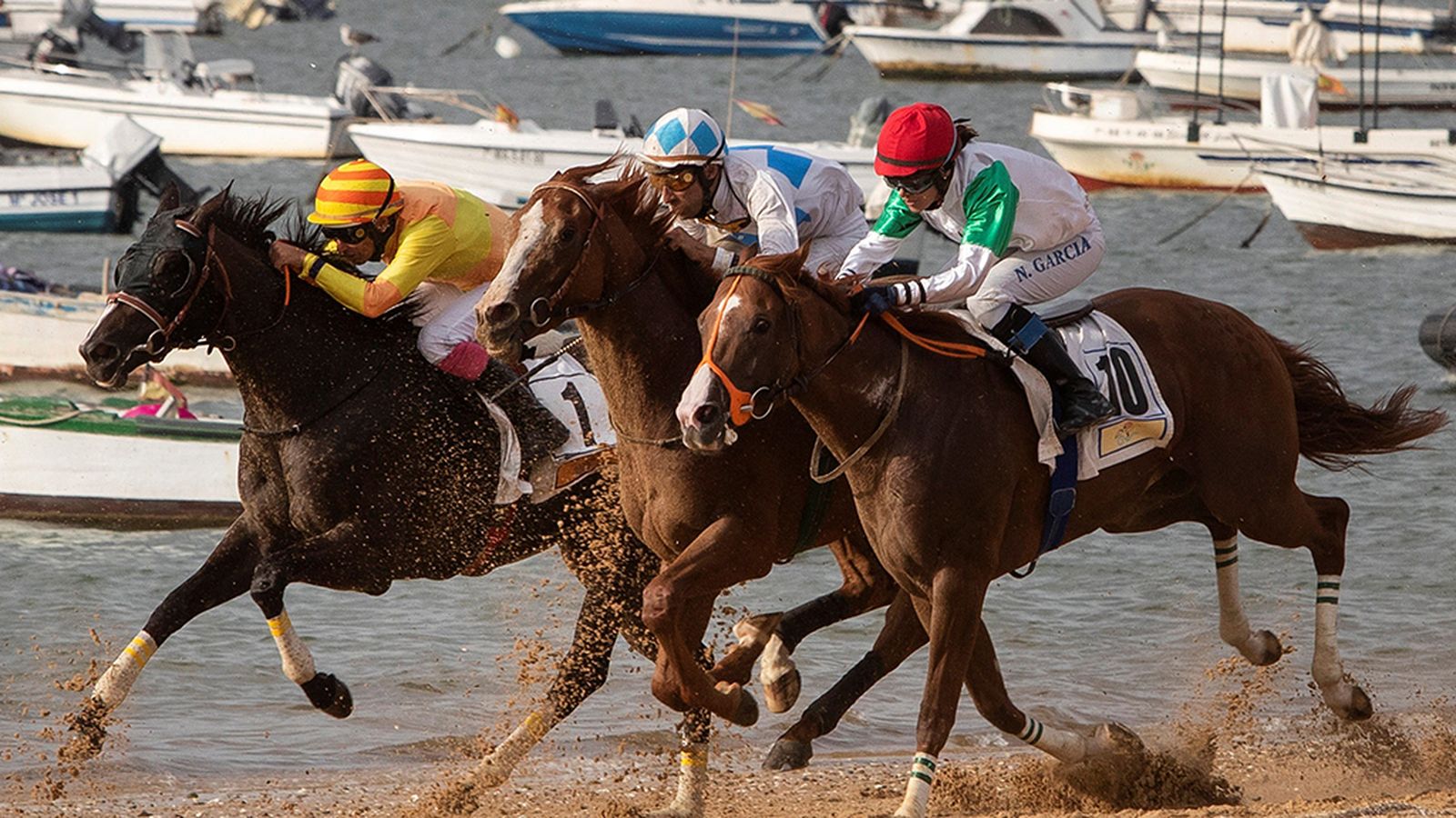 caballos 2 1024