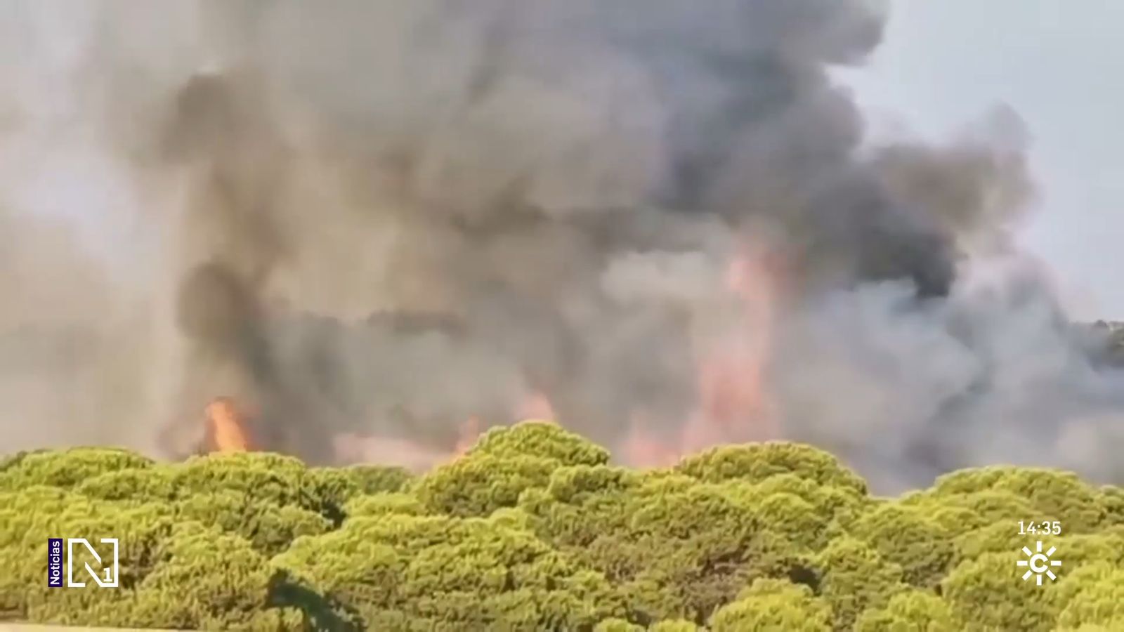 Incendios forestales en Andalucía.