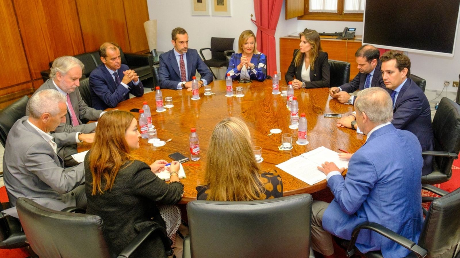 consejo constituyente