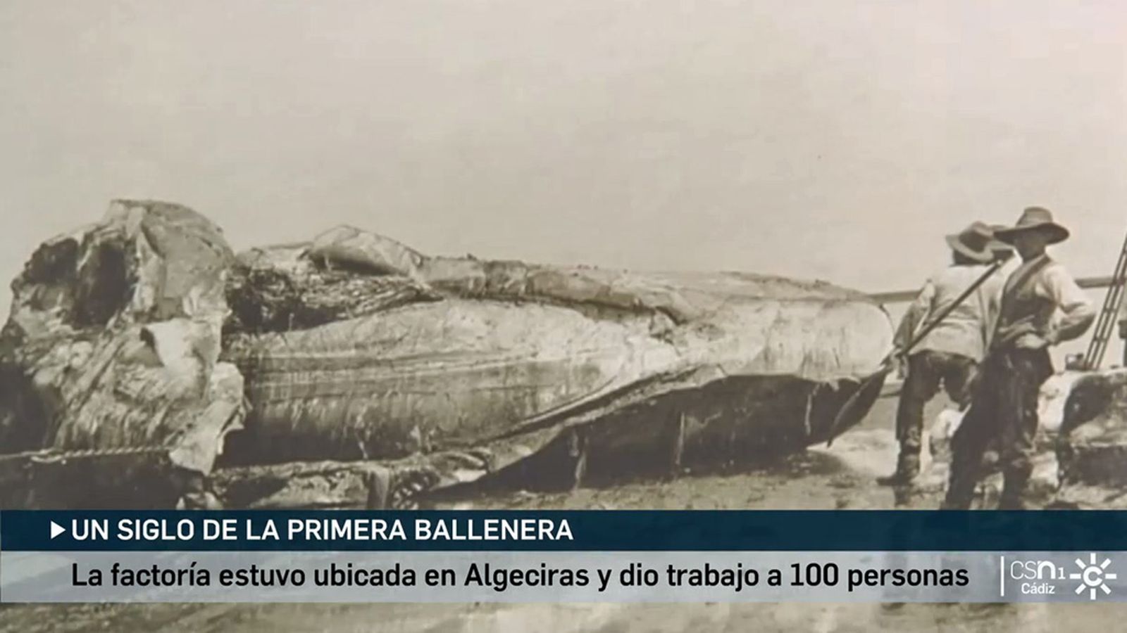 foto ballnera