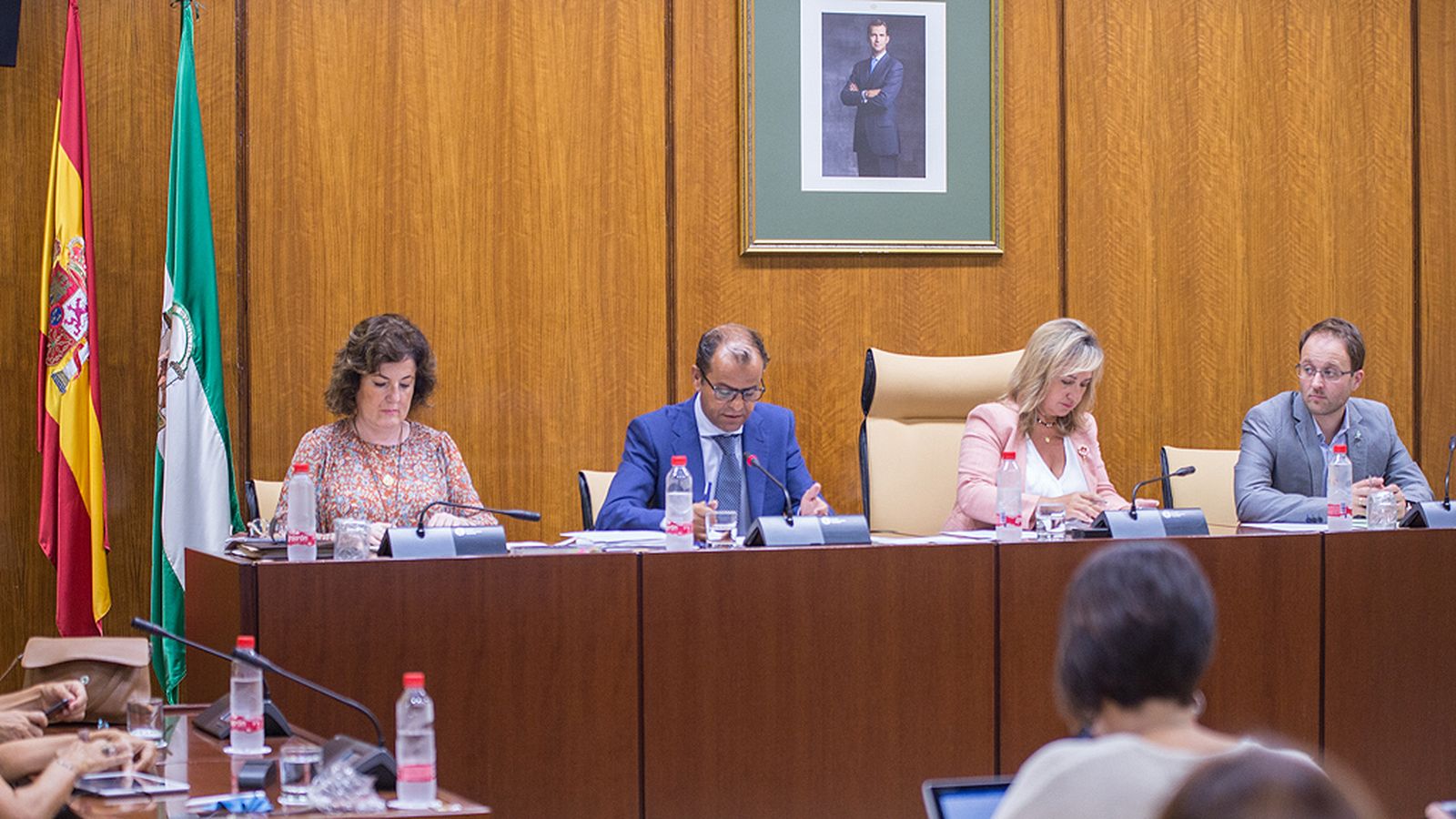 Comisión Control Parlamentaria Juande Mellado