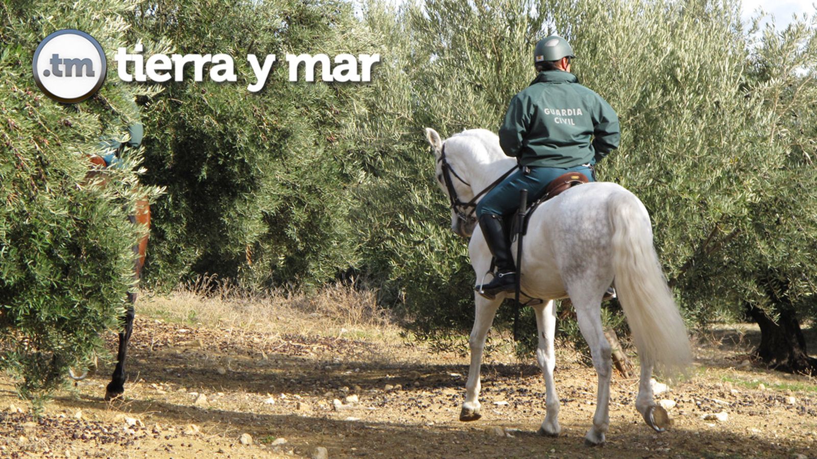 Tierra y Mar 14/10/18 Robos en el campo 1024x576