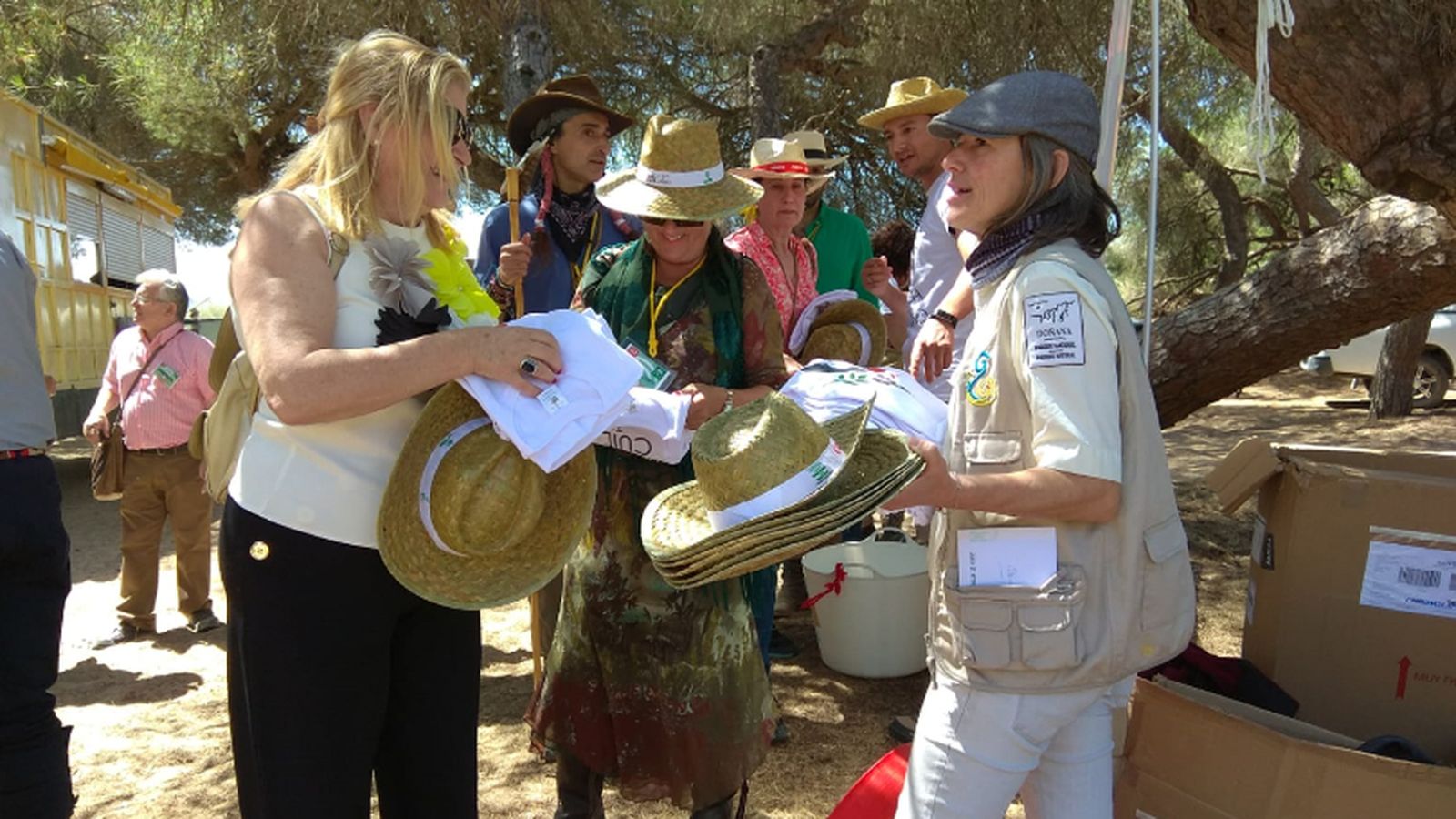 Comunicación Camino 2