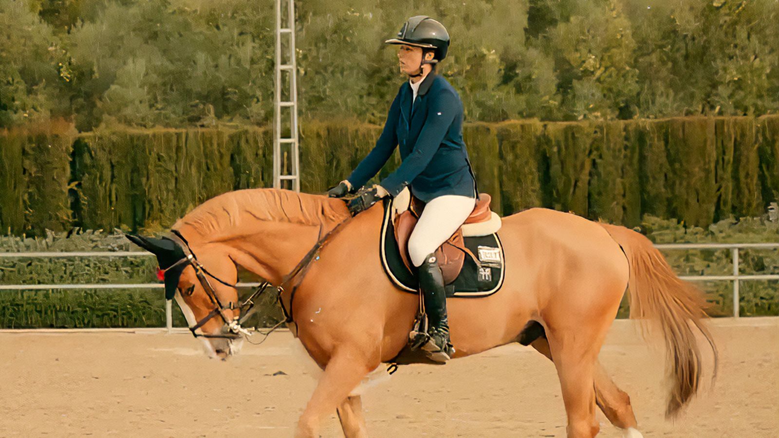 La pasión y amor por los caballos de Pilar Cordón, amazona olímpica de saltos de obstáculos
