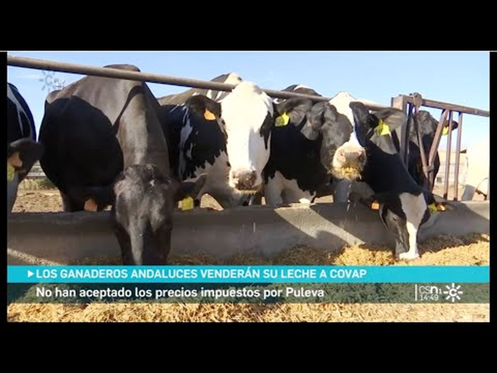 Los ganaderos se enfrentan a la multinacional lechera Lactalis en Andalucía