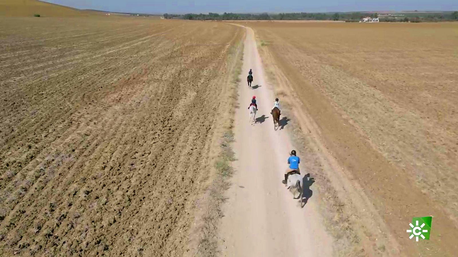 Claves para la preparación de la disciplina de raid, por el especialista Antonio Pérez