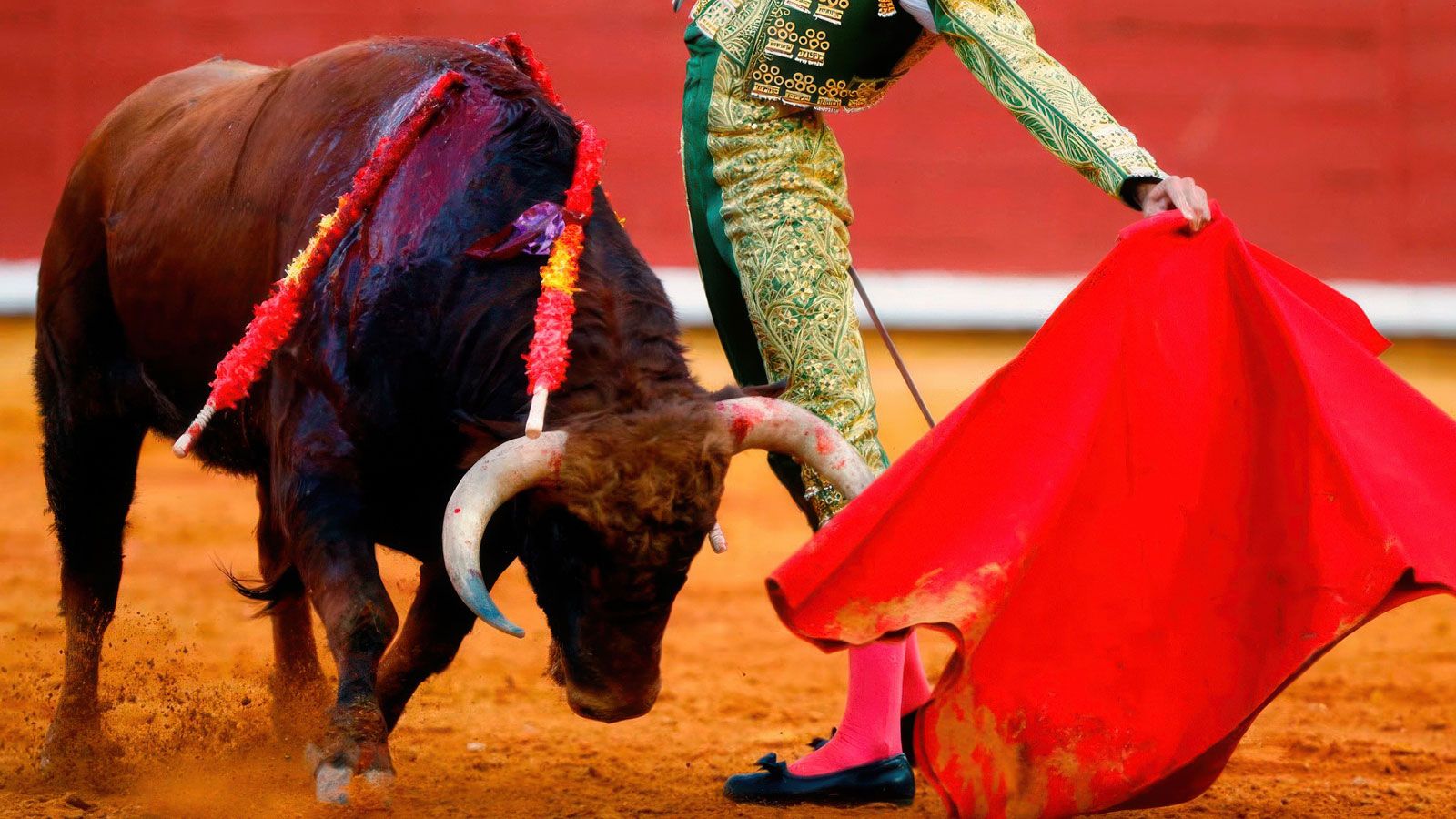 XXXII Ciclo de Novilladas de Andalucía desde Castellar
