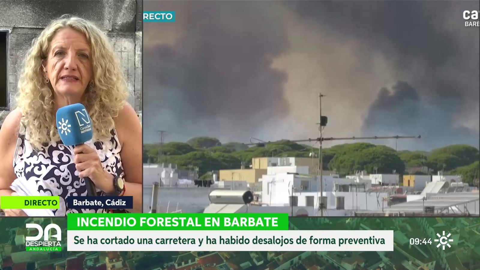 desp_forestal - 08/07/2026 - 10:01:03