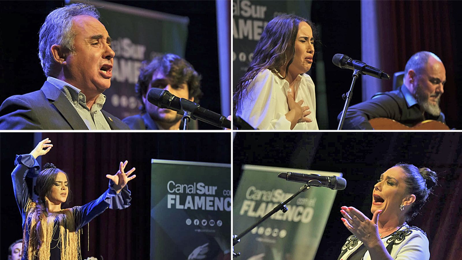 FORO FLAMENCO MONTAJE