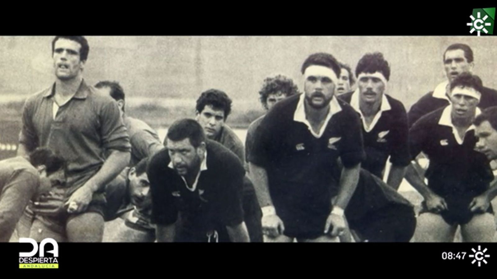 documental quince rugby