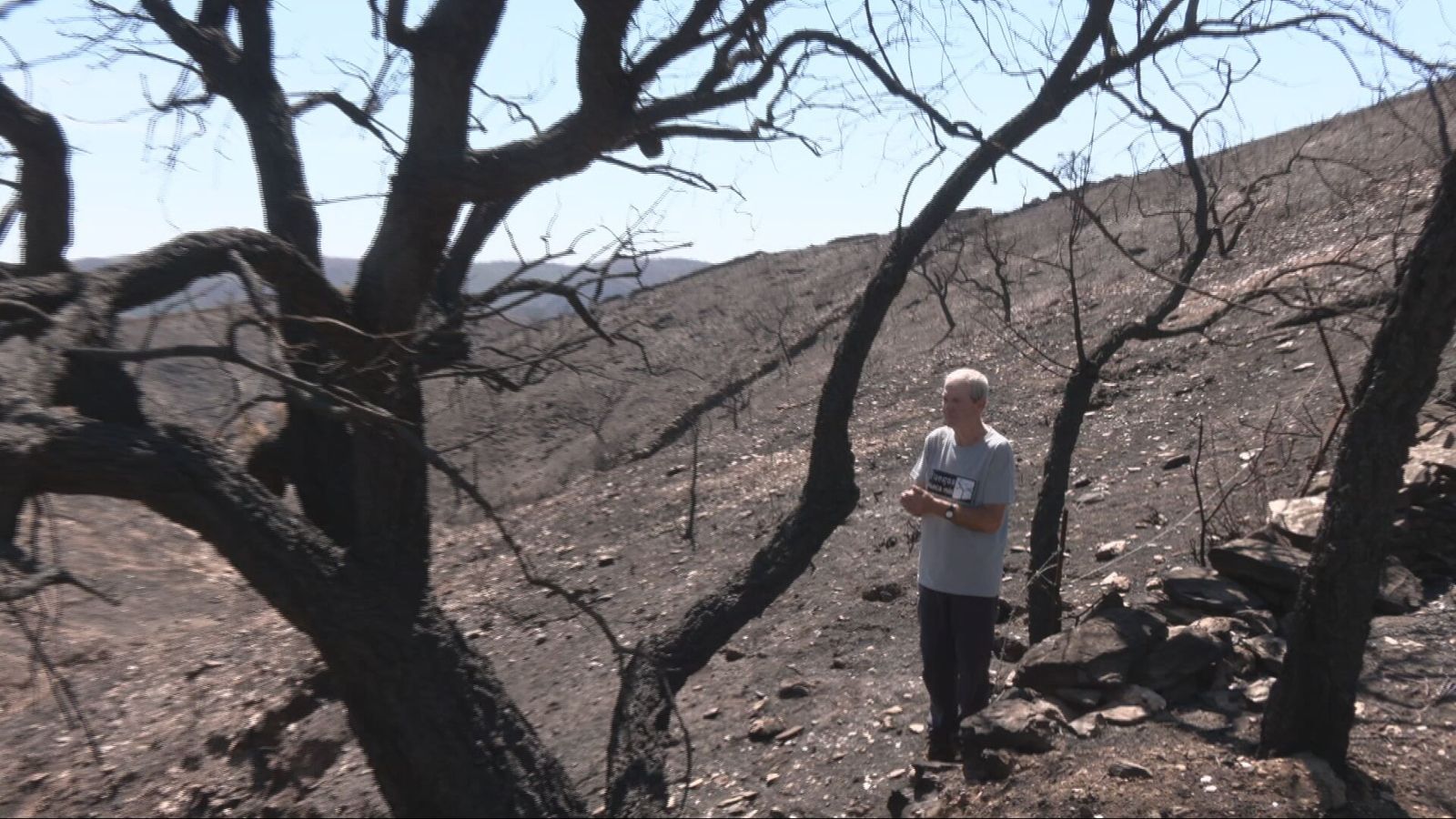Incendios forestales, "Los Reporteros"