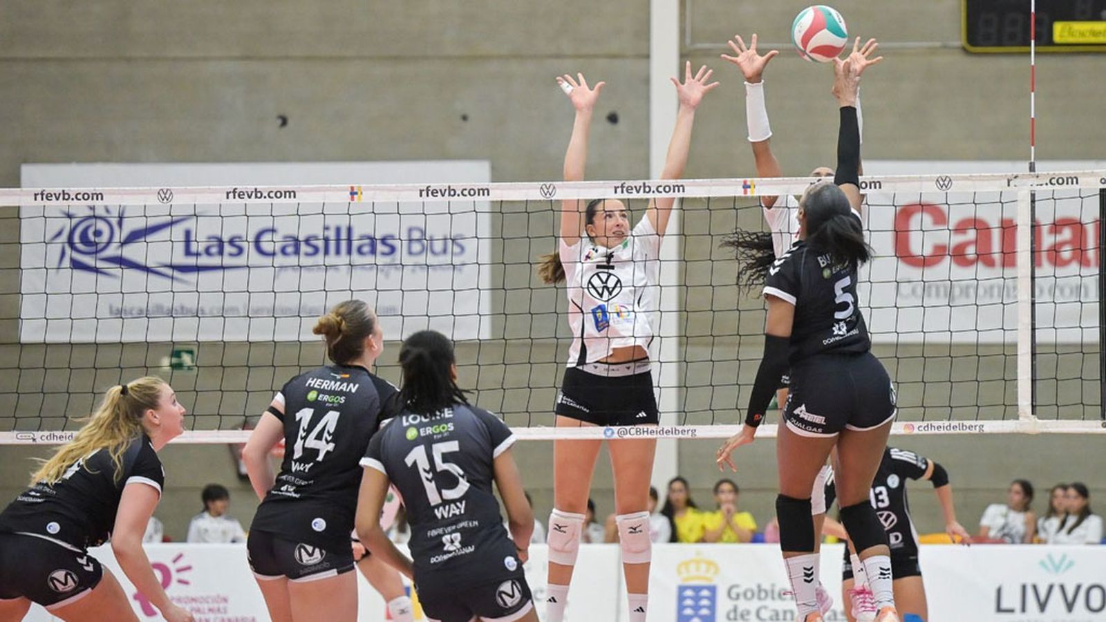 voleibol cajasol final de la liga
