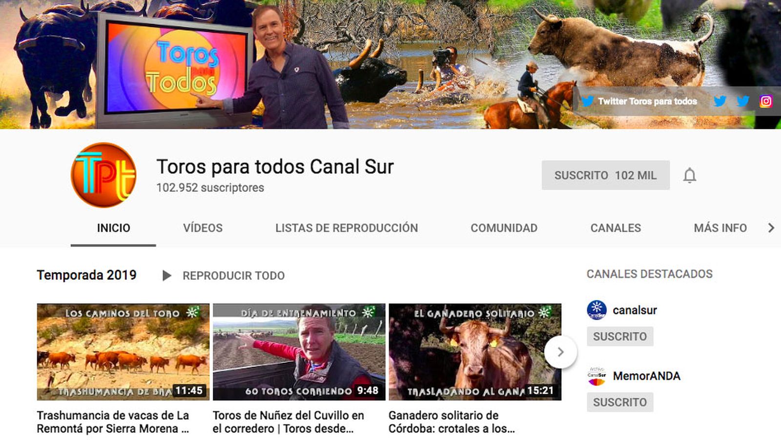 youtube toros para todos
