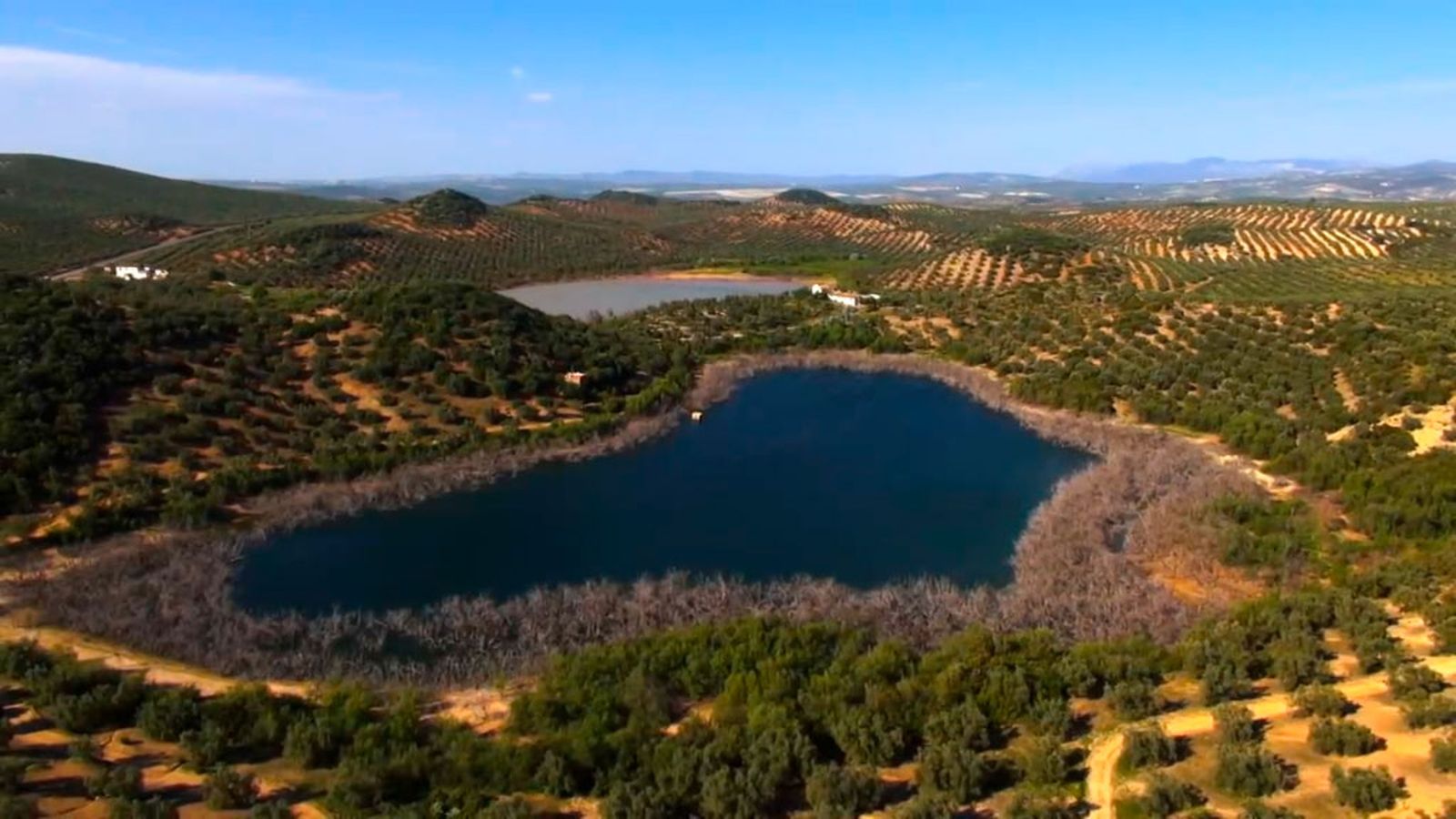 Lagunas Dulce y Amarga de Córdoba, un espacio de singular belleza y de especial protección para las aves