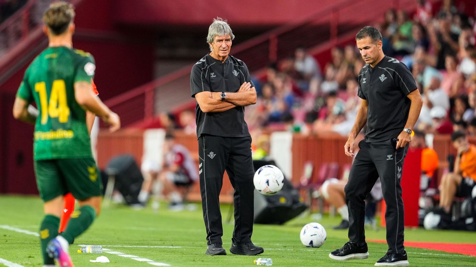 Manuel Pellegrini, entrenador del Real Betis