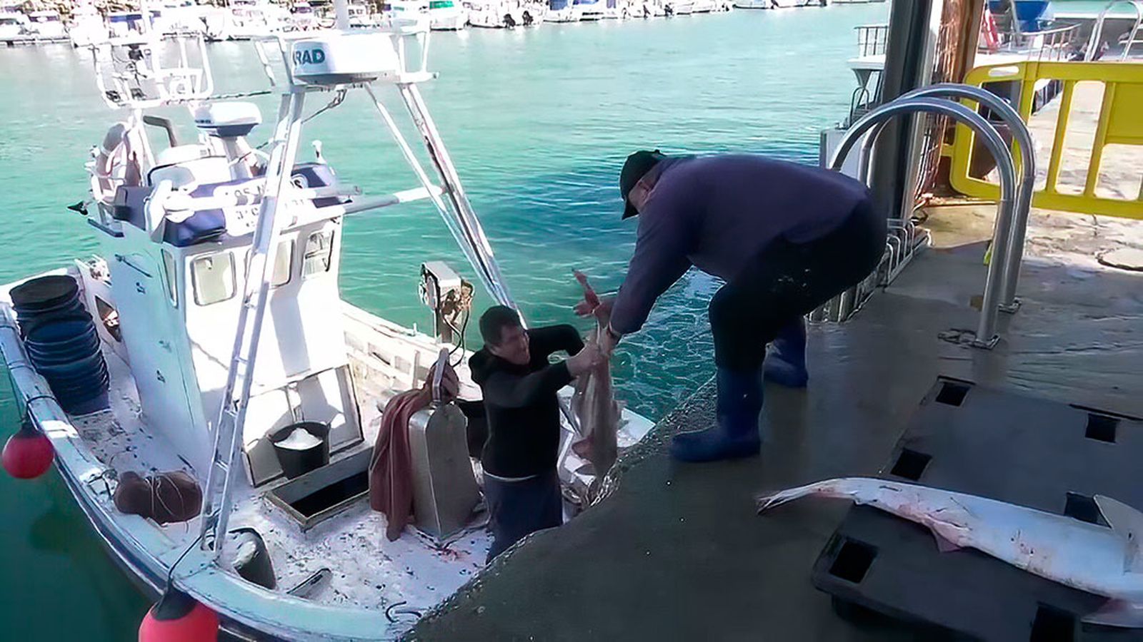 El pescado de Conil para recuperarnos de los excesos navideños