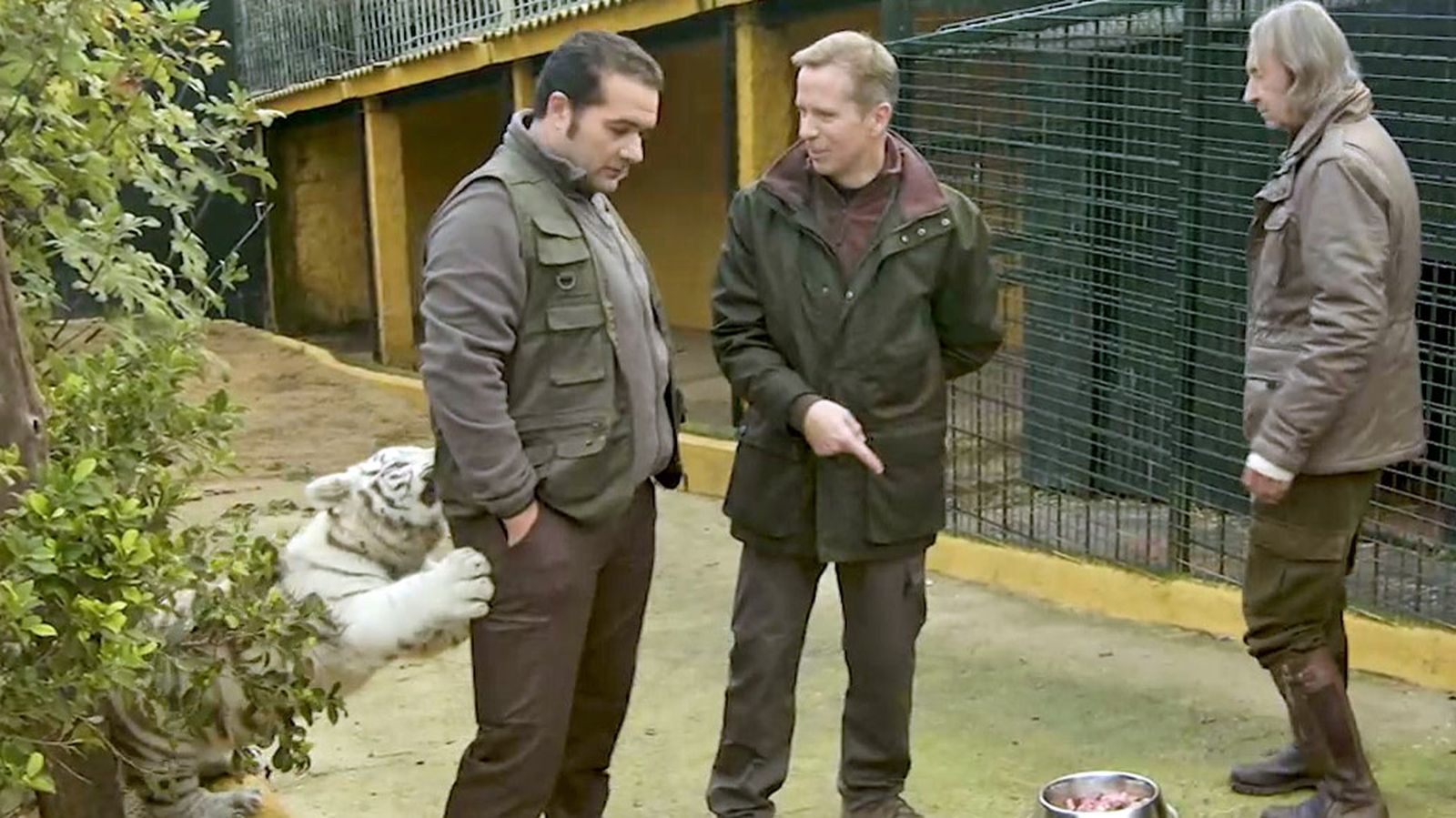 Entre compadres 1024x5756 tigre