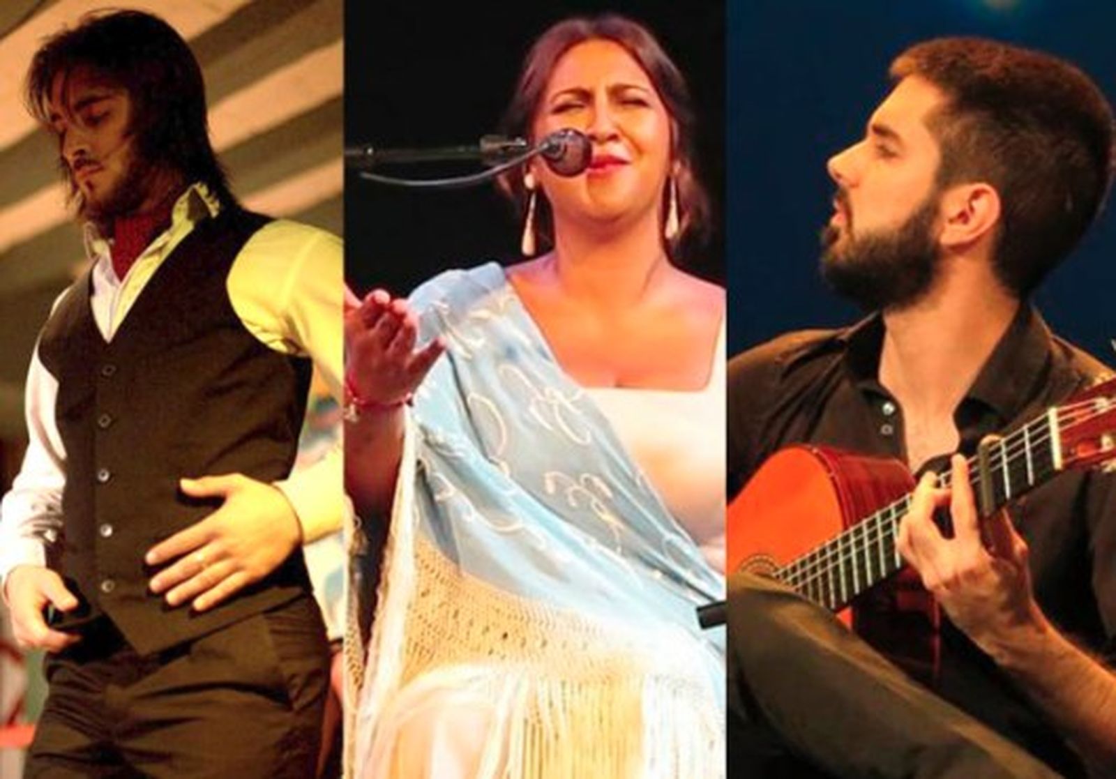Talento Flamenco 530