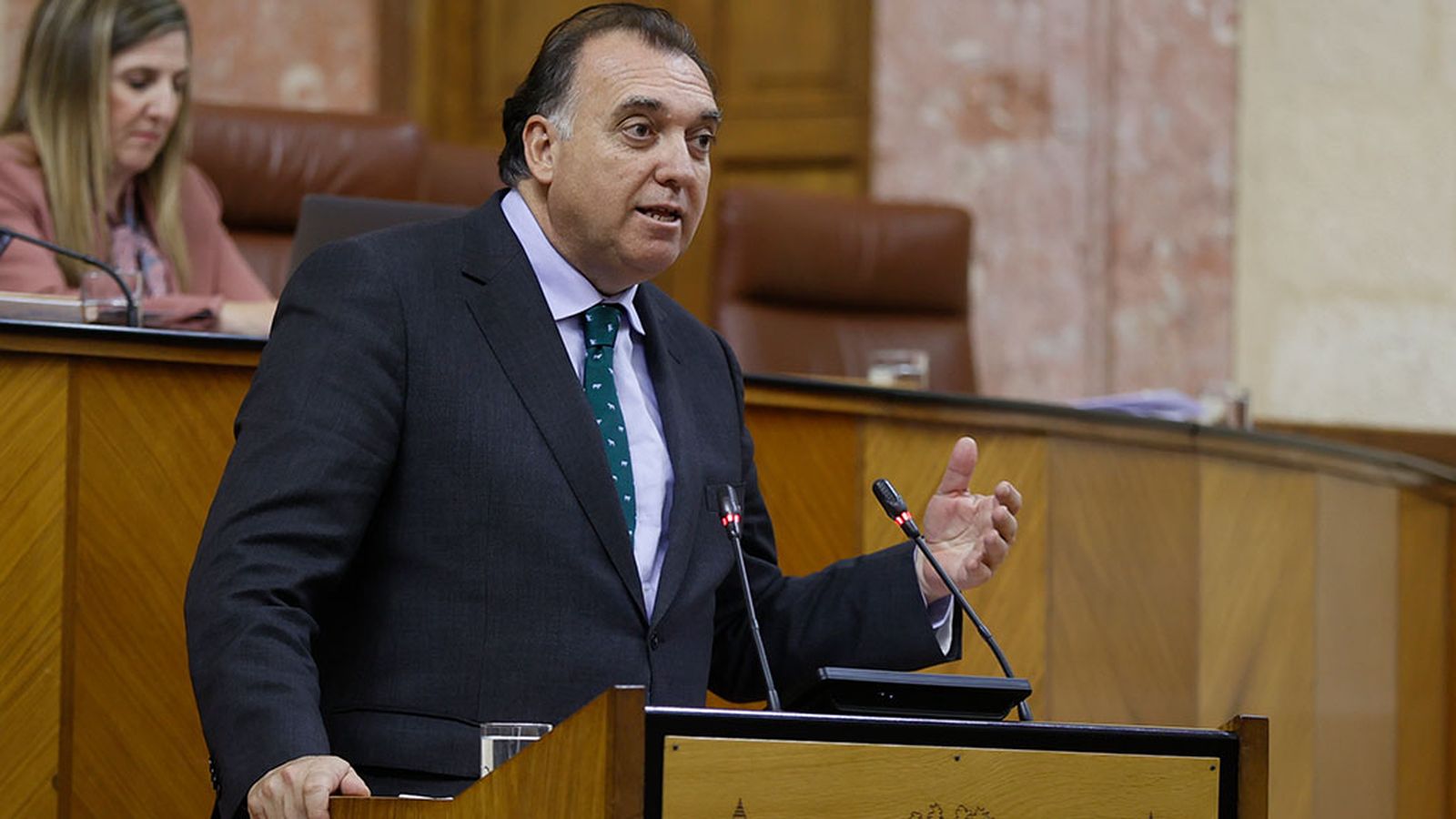 Arturo Bernal en comparecencia parlamentaria