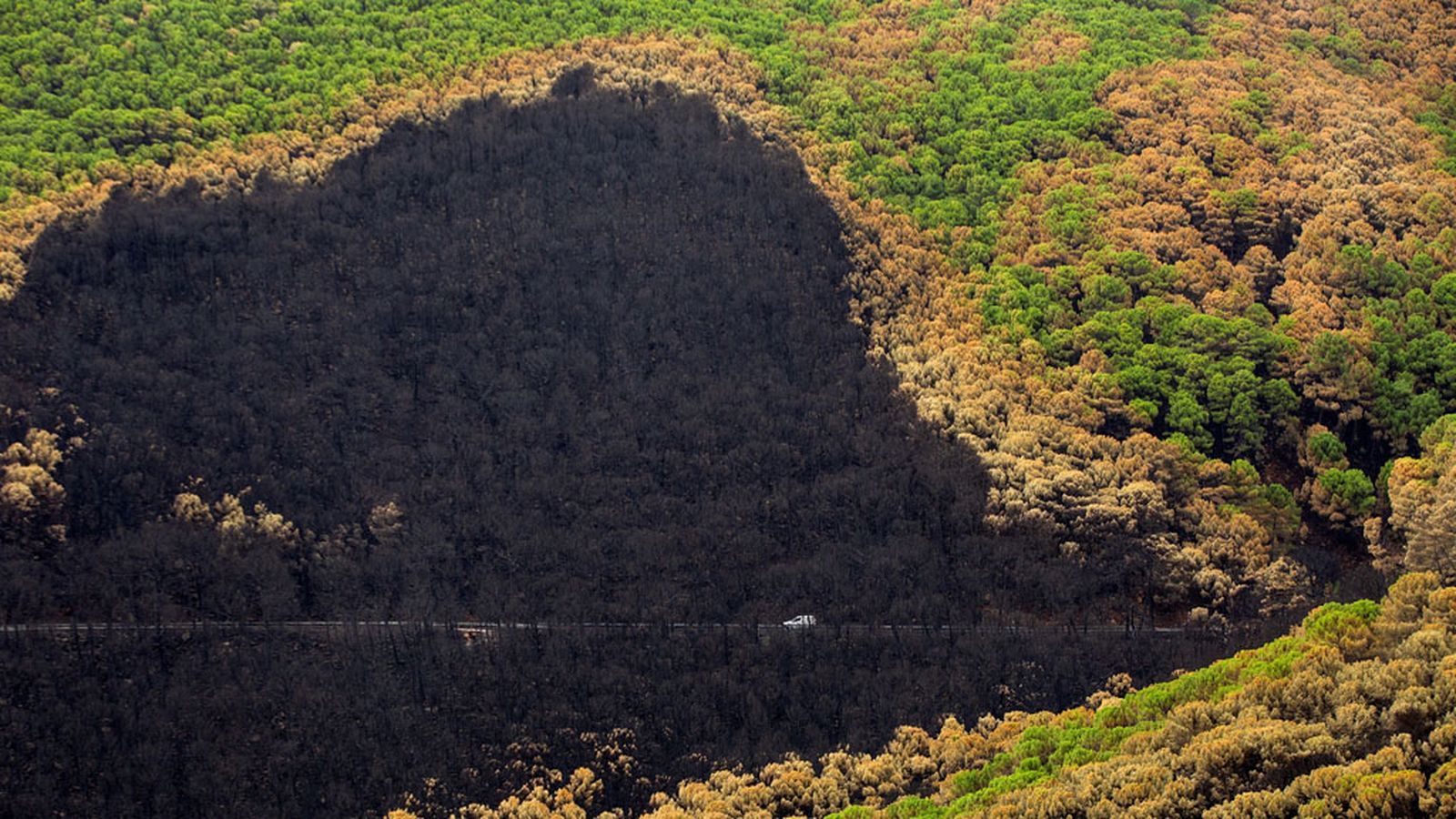 Incendio en Sierra Bermeja