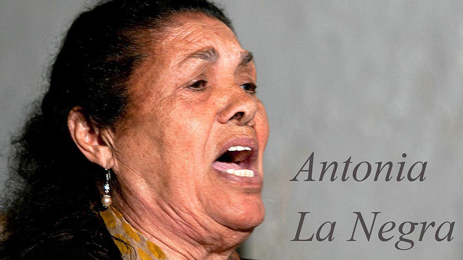 Comunicación Lo Flamenco La Negra