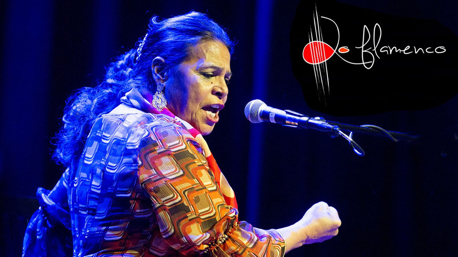 Comunicación Lo Flamenco Aurora Vargas
