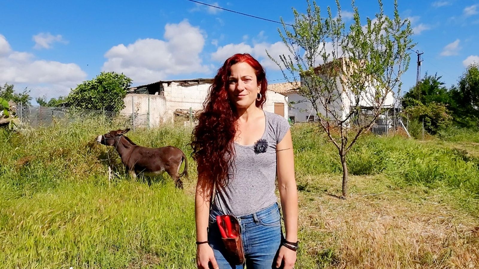 Los Repobladores Santo Tomé Violeta