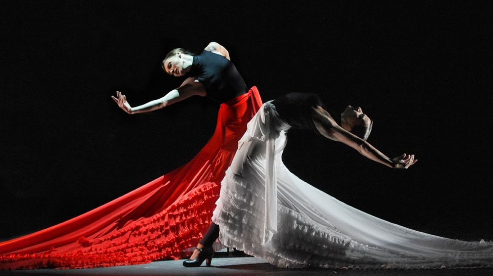 Flamenco en la red 1024