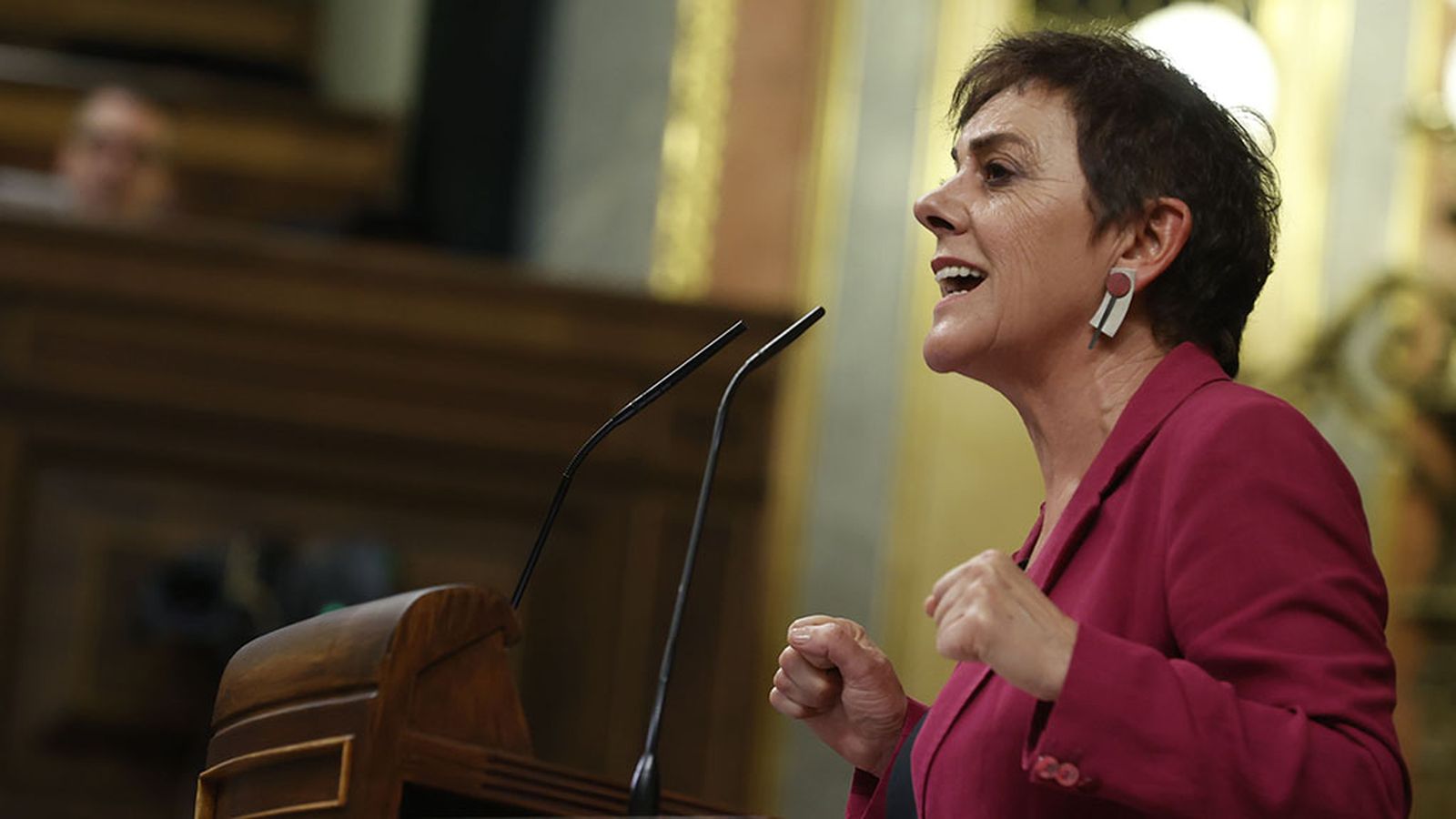 Intervención de Bildu en el Debate de investidura