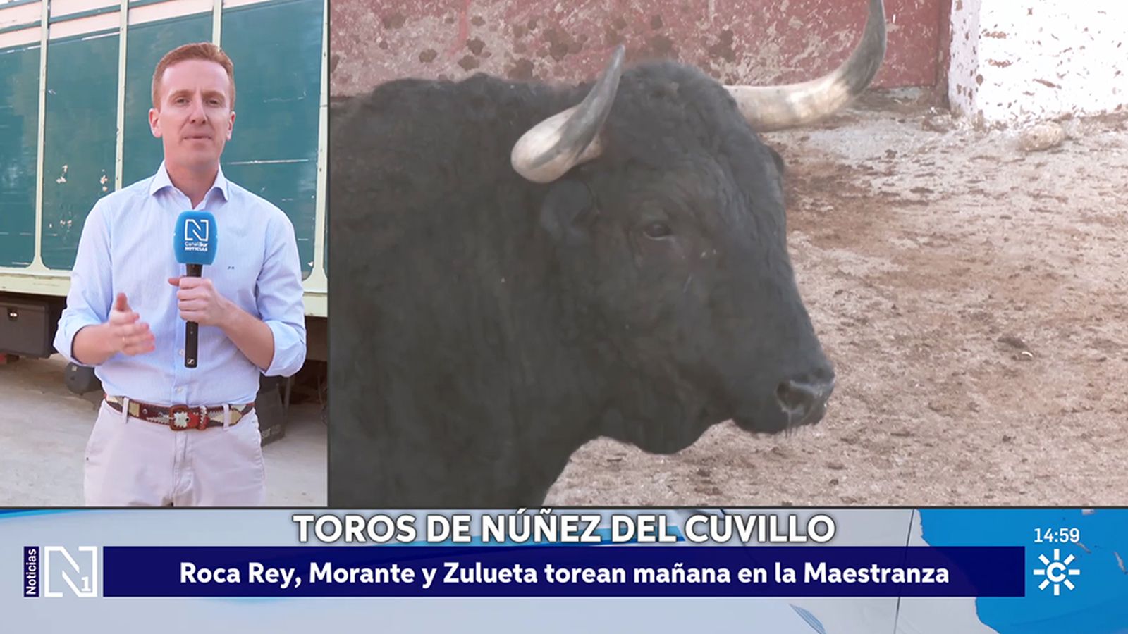 Embarque de los toros para Morante y Roca
