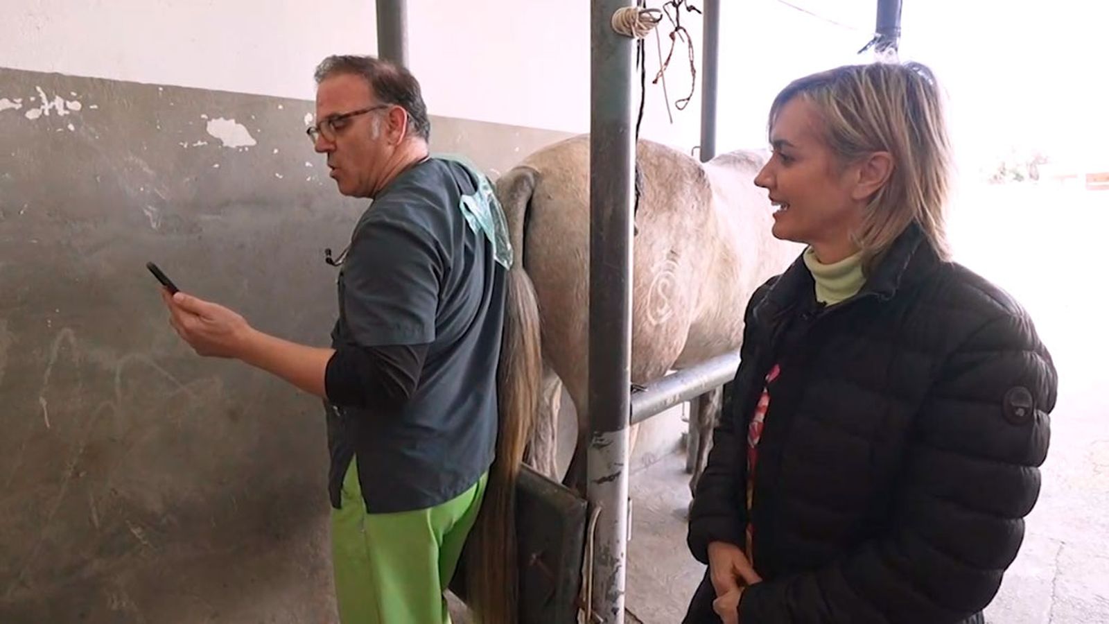 Acompañamos a un veterinario rural que visita a animales que no se pueden desplazar