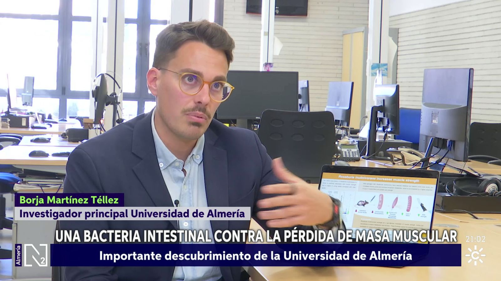 Identifican una bacteria intestinal que mejora la fuerza muscular