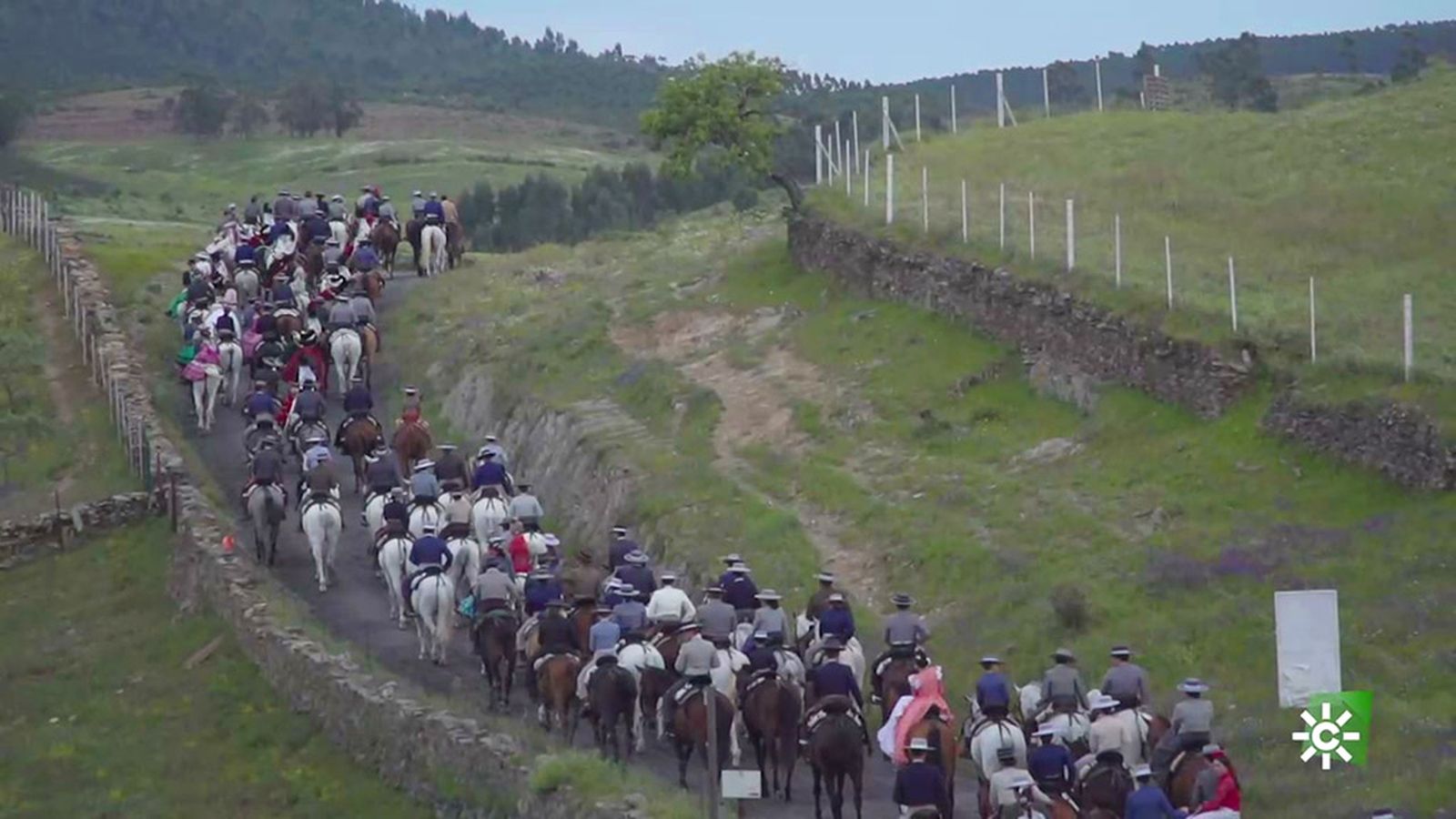 La devoción, la cultura y el caballo, fusionados en la romería de la Virgen de la Peña