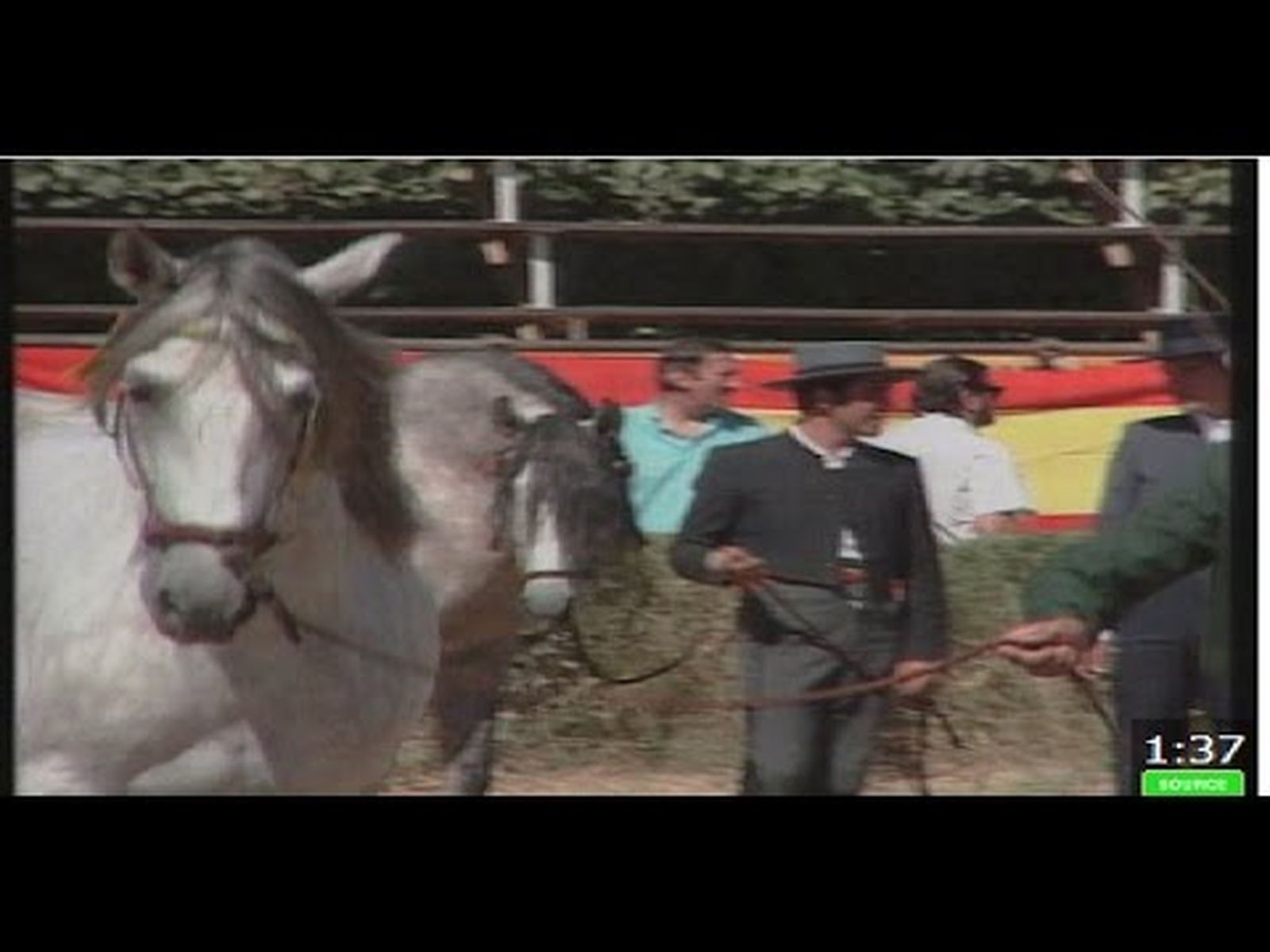 Caballos de pura raza española: Primer Concurso Morfológico Nacional  (1995)