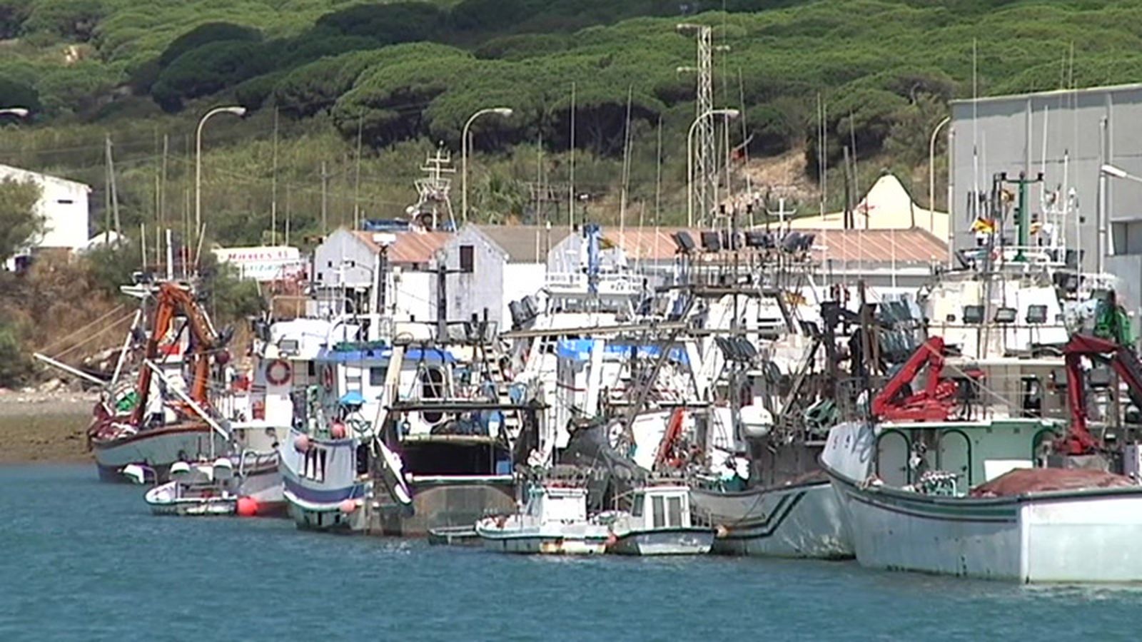 pesca