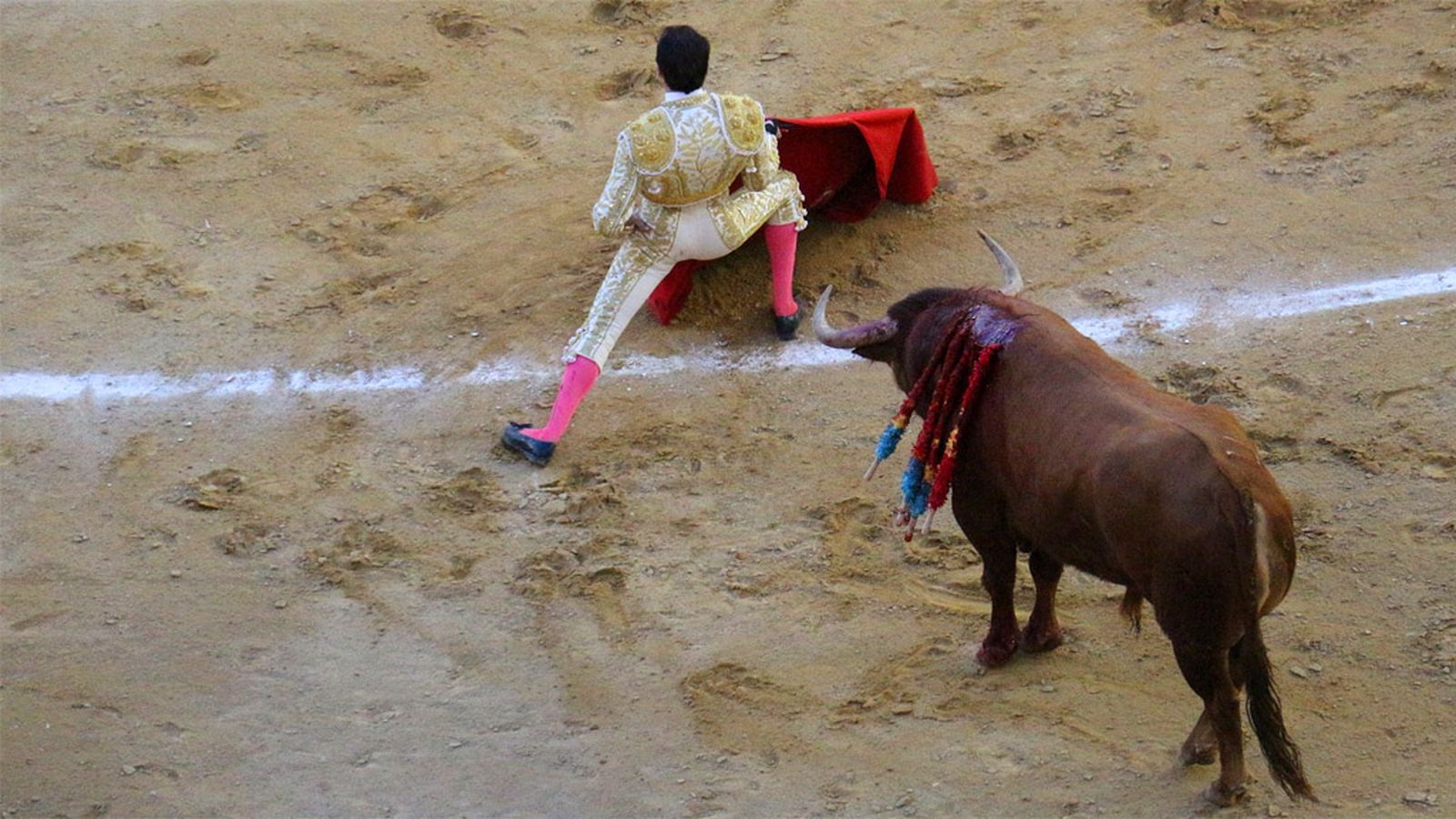 Toros Ciclo novilladas generica 3