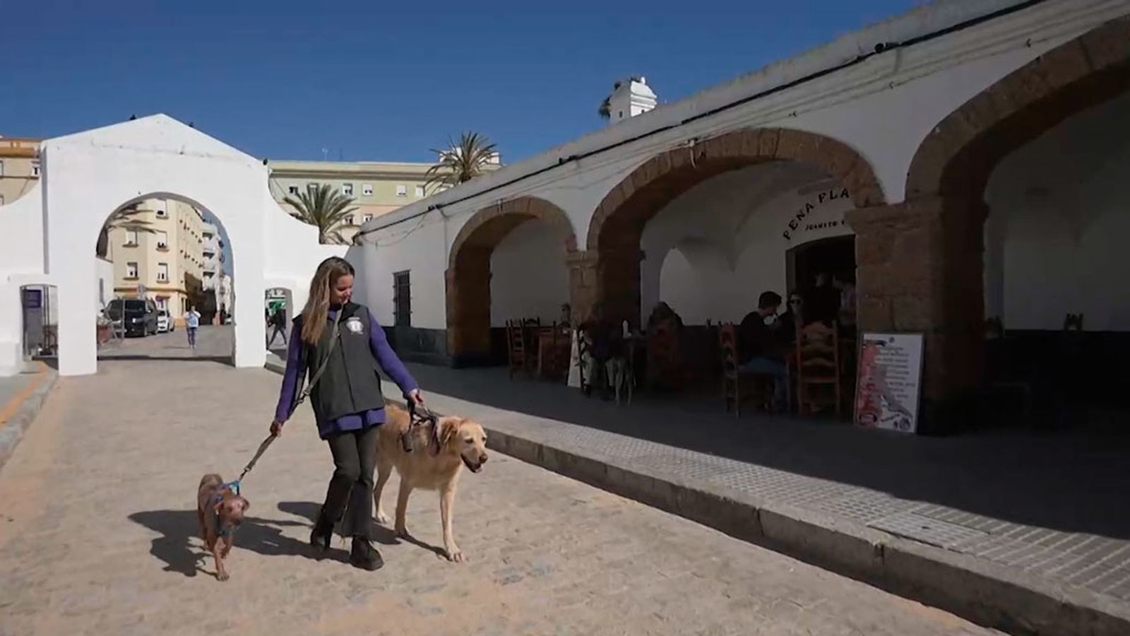 María lleva 12 años dedicada a rescatar perros de la calle y ayudándolos a encontrar un hogar