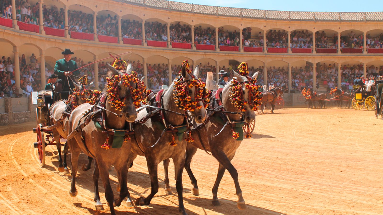 Enganches Ronda (Foto: Real Club de Enganches de Andalucía) 1024 px